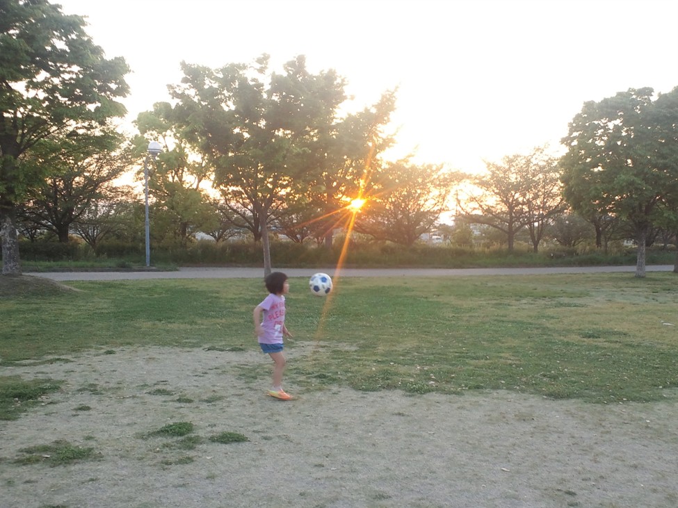 f:id:alegruntokai:20170816113054j:plain