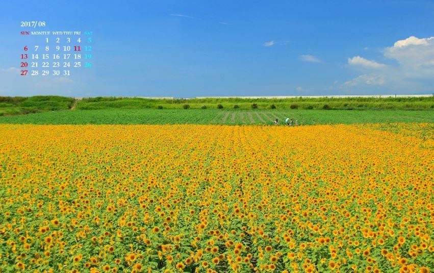 f:id:alegruntokai:20170825223021j:plain