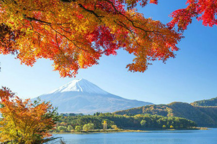 f:id:alegruntokai:20170925175945p:plain
