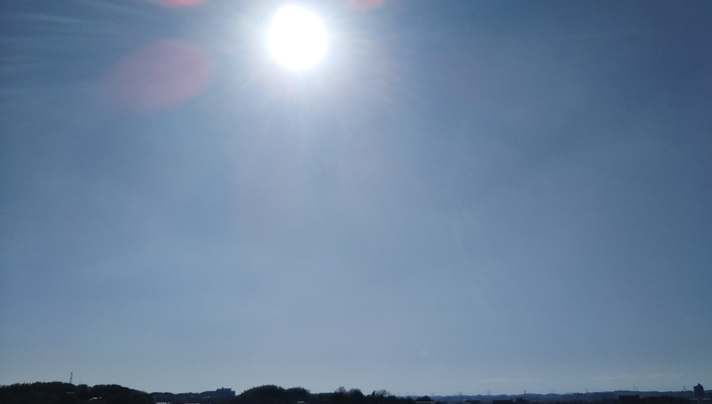 f:id:alegruntokai:20190116080444j:plain f:id:alegruntokai:20190116080444j:plain