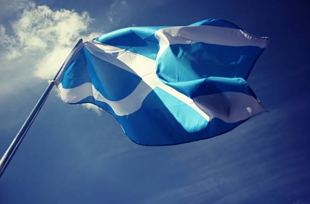 f:id:alegruntokai:20190128181525j:plain f:id:alegruntokai:20190128181525j:plain