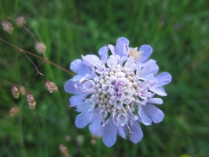 f:id:alexander-kumi:20140706101537j:image