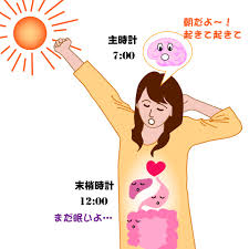 f:id:alfaR:20200602103647p:plain
