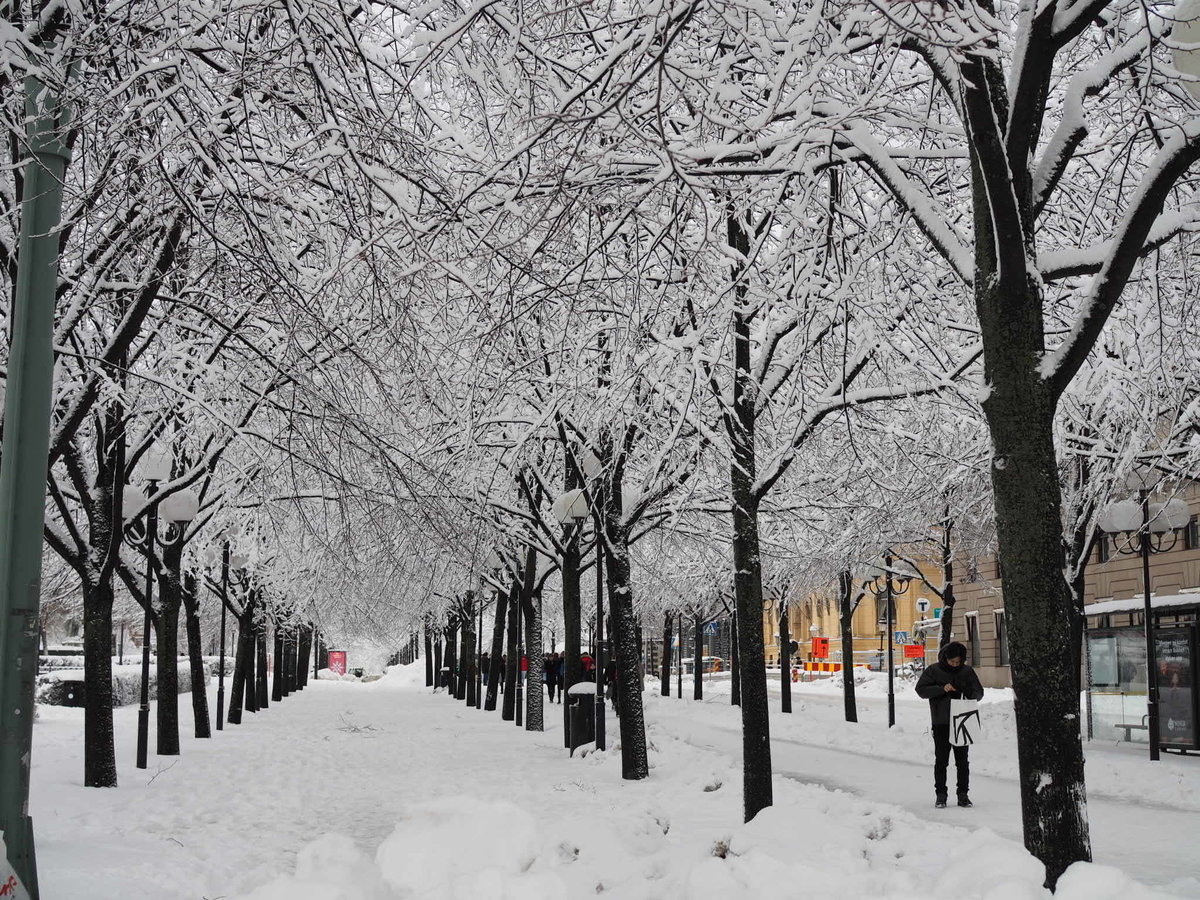 f:id:alfa_svensk:20210314034858j:plain