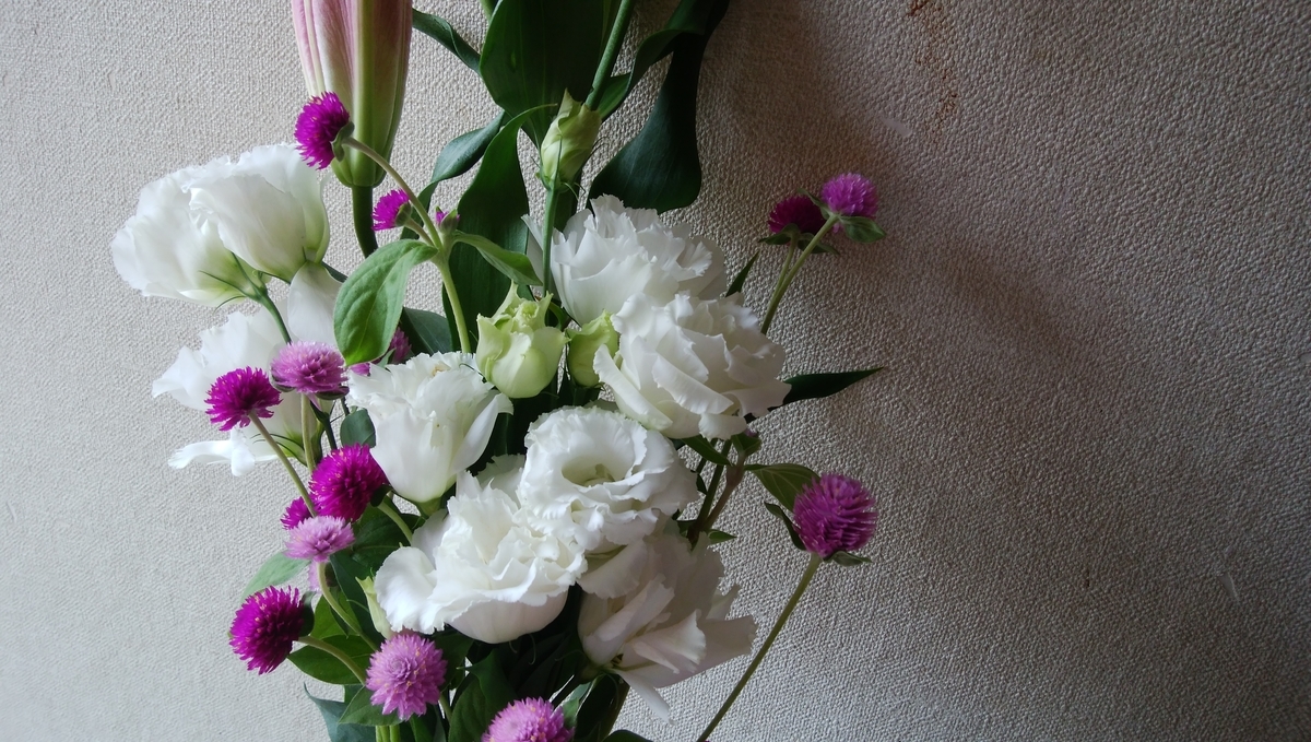 f:id:alfalfavamuda:20190917002454j:plain