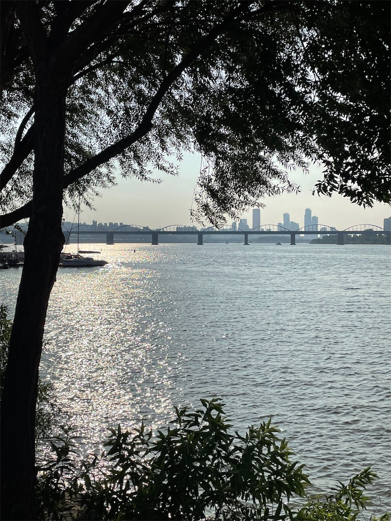 f:id:alfpdl:20230821113920j:image f:id:alfpdl:20230821113920j:image