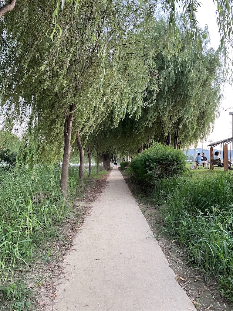 f:id:alfpdl:20230821114029j:image f:id:alfpdl:20230821114029j:image