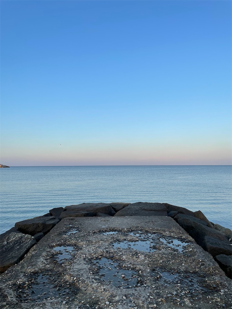 f:id:alfpdl:20231024174012j:image f:id:alfpdl:20231024174012j:image