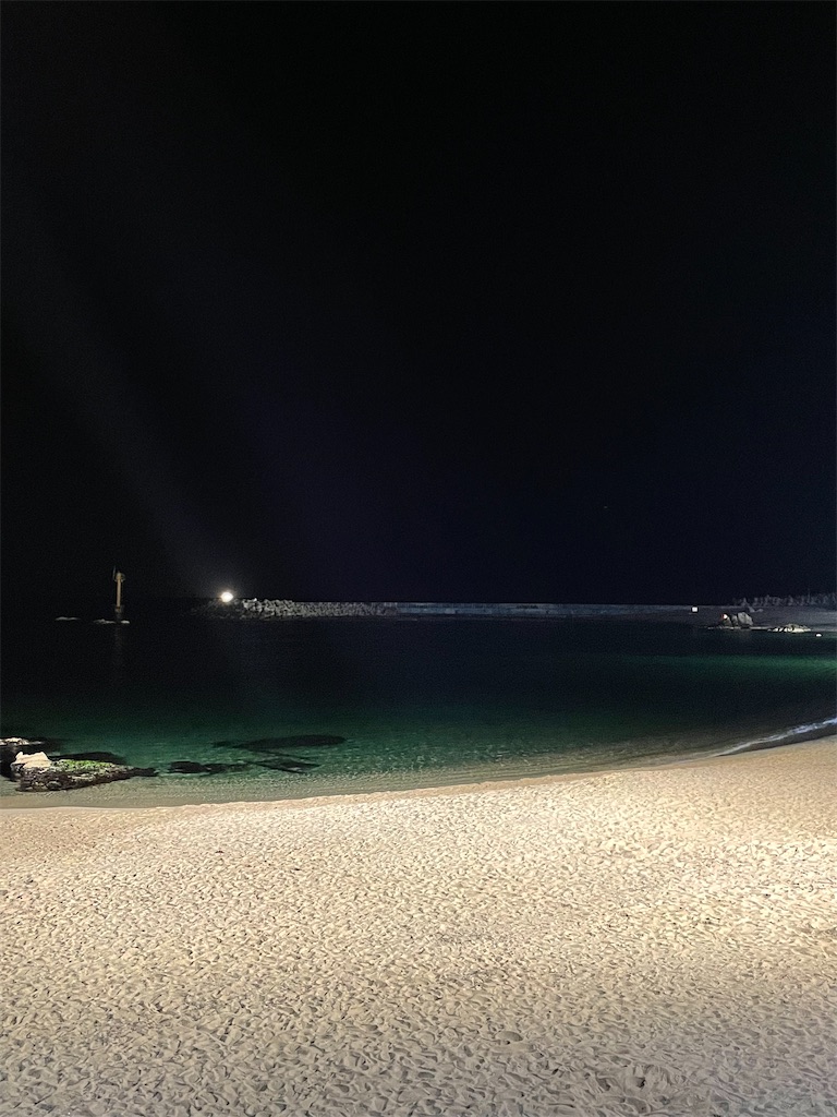 f:id:alfpdl:20231024174233j:image f:id:alfpdl:20231024174233j:image