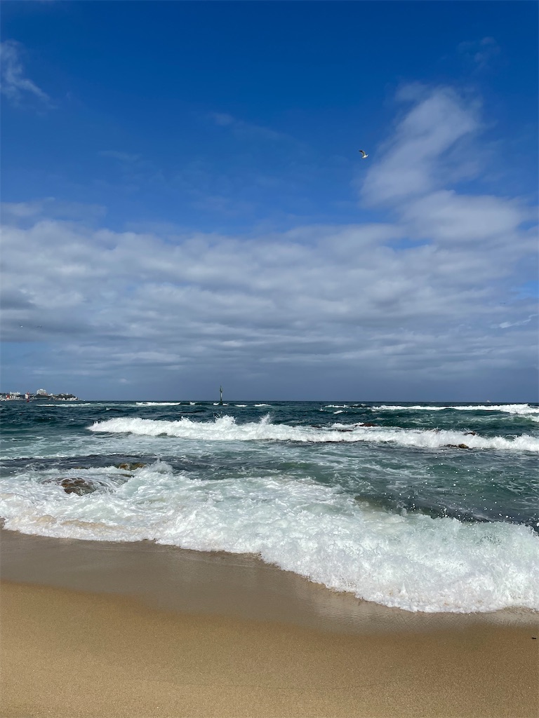 f:id:alfpdl:20231027154847j:image f:id:alfpdl:20231027154847j:image