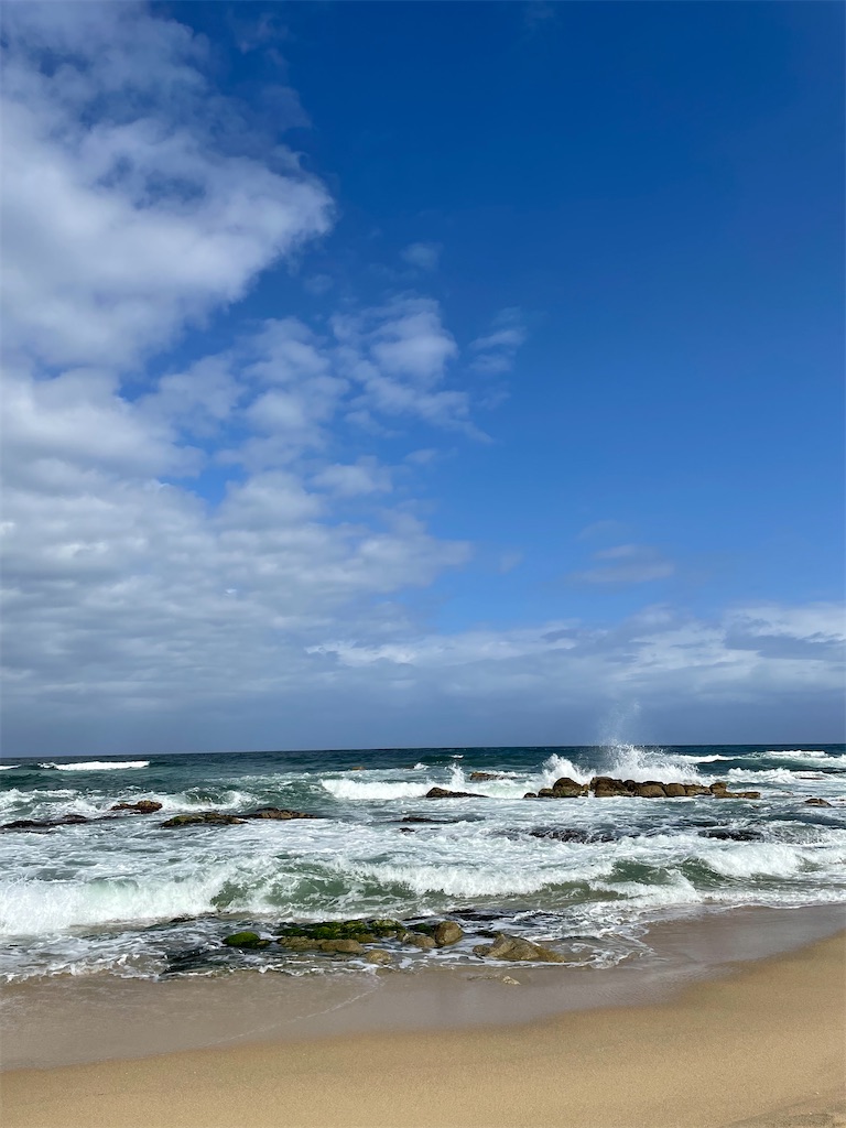 f:id:alfpdl:20231027154850j:image f:id:alfpdl:20231027154850j:image