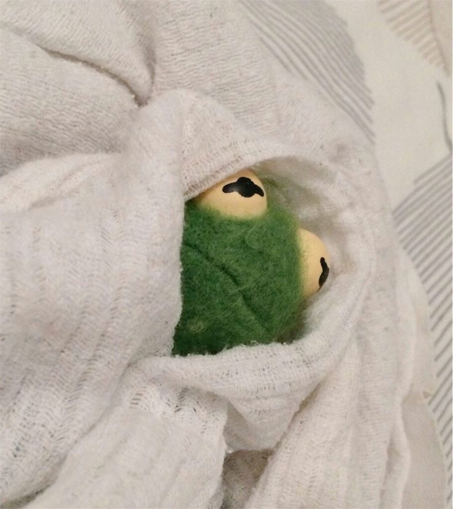 f:id:alfpdl:20231211164111j:image f:id:alfpdl:20231211164111j:image