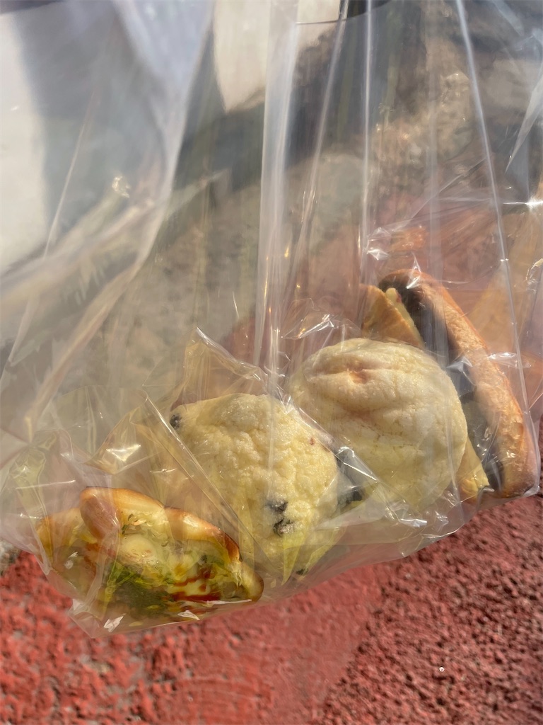 f:id:alfpdl:20240216165809j:image f:id:alfpdl:20240216165809j:image