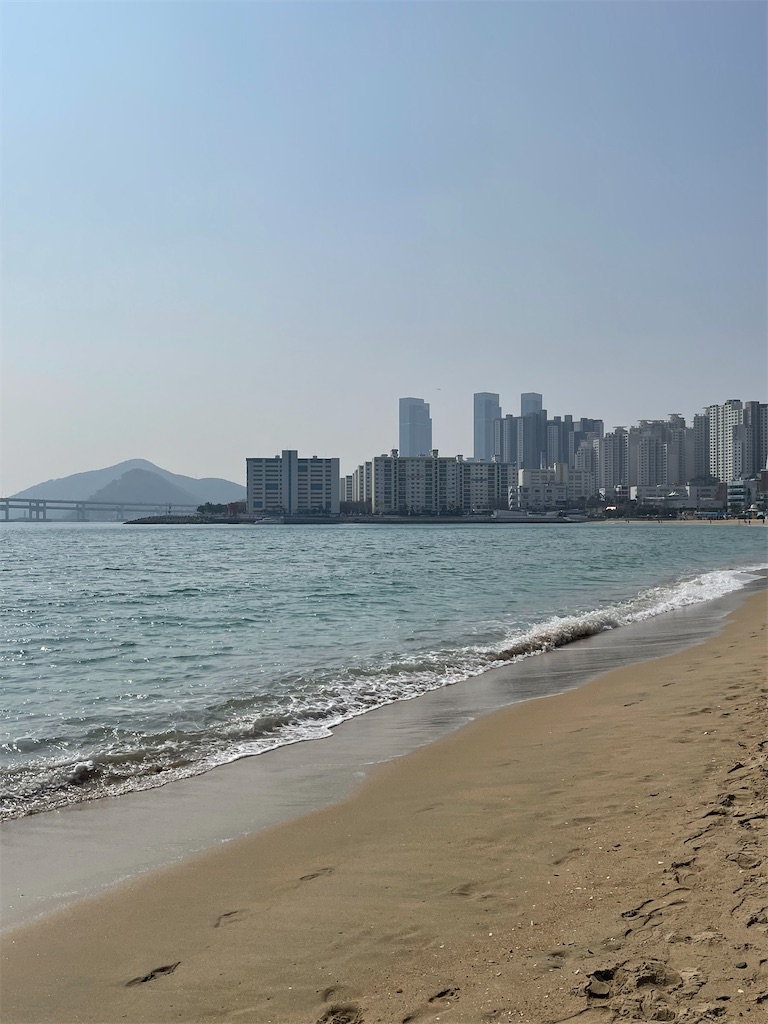 f:id:alfpdl:20240312144457j:image f:id:alfpdl:20240312144457j:image