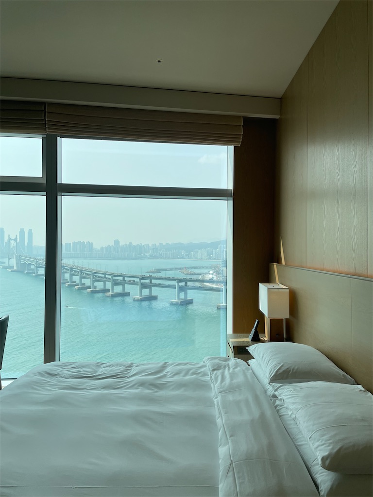 f:id:alfpdl:20240312144536j:image f:id:alfpdl:20240312144536j:image