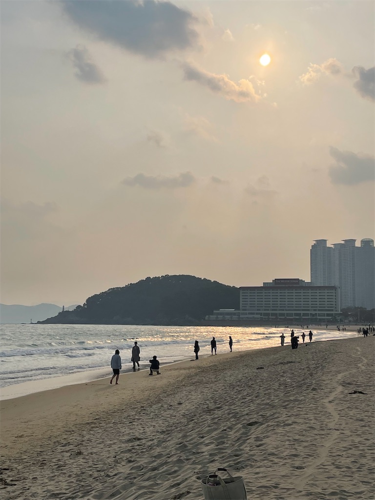 f:id:alfpdl:20240312144839j:image f:id:alfpdl:20240312144839j:image