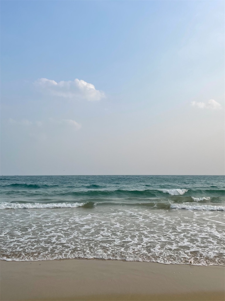 f:id:alfpdl:20240312144841j:image f:id:alfpdl:20240312144841j:image