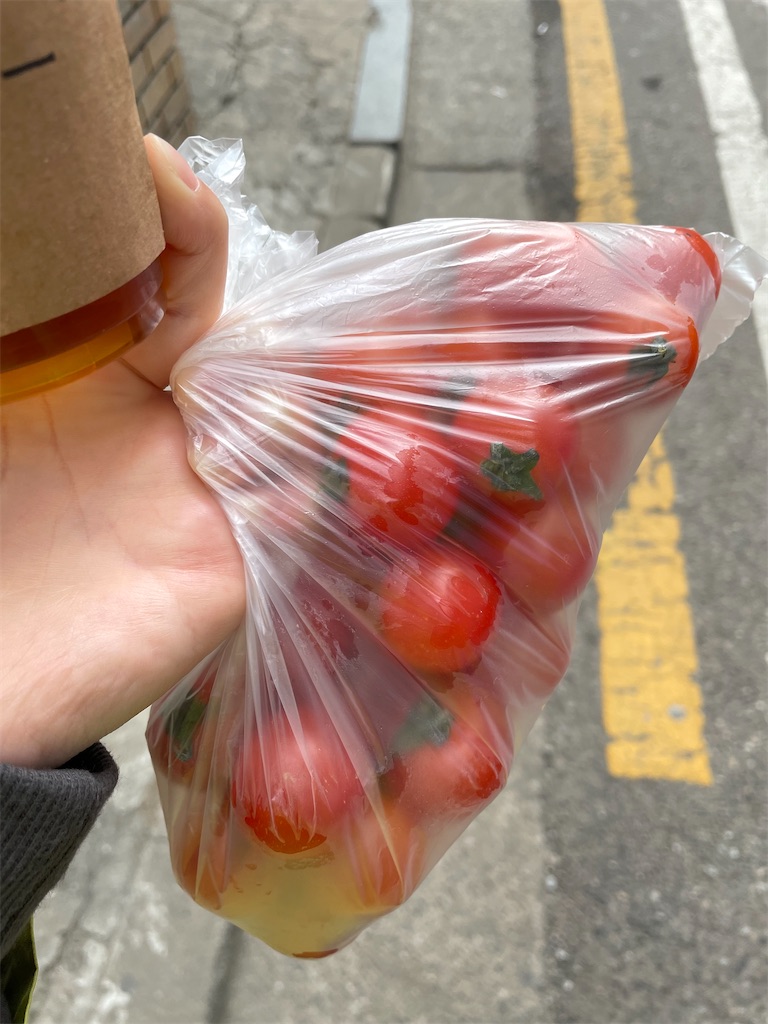 f:id:alfpdl:20240314161319j:image f:id:alfpdl:20240314161319j:image