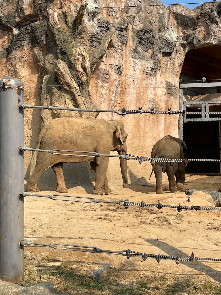 f:id:alfpdl:20240612145946j:image