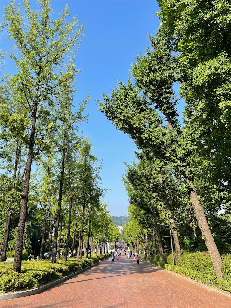 f:id:alfpdl:20240612145948j:image