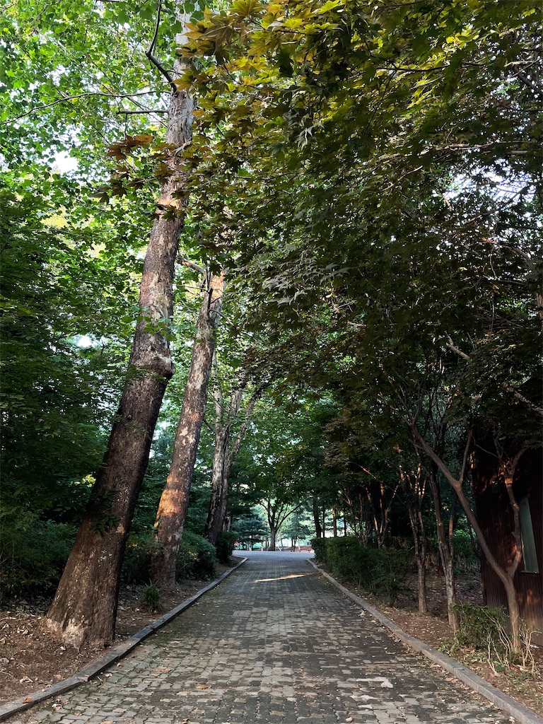 f:id:alfpdl:20240612150010j:image