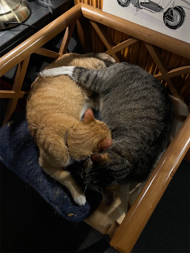 f:id:alfpdl:20250509144724j:image