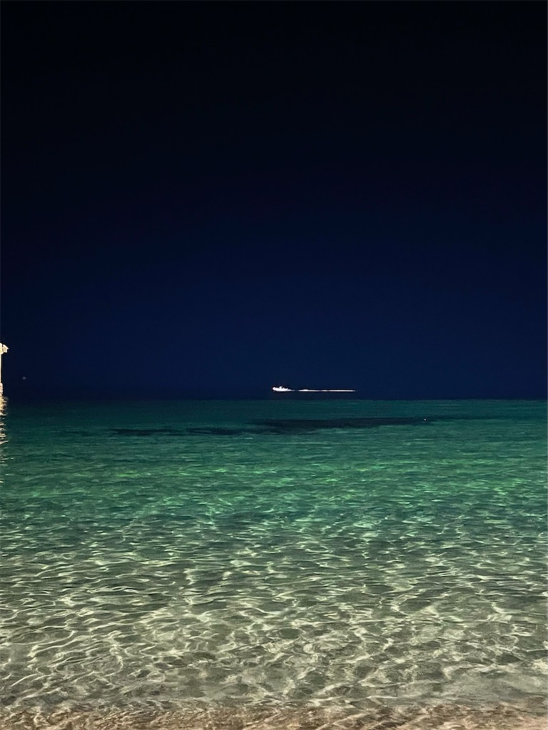 f:id:alfpdl:20251204223634j:image