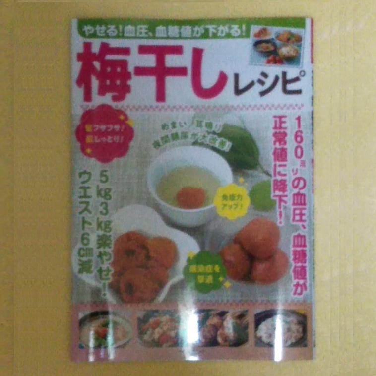 f:id:algai:20210526095827j:plain