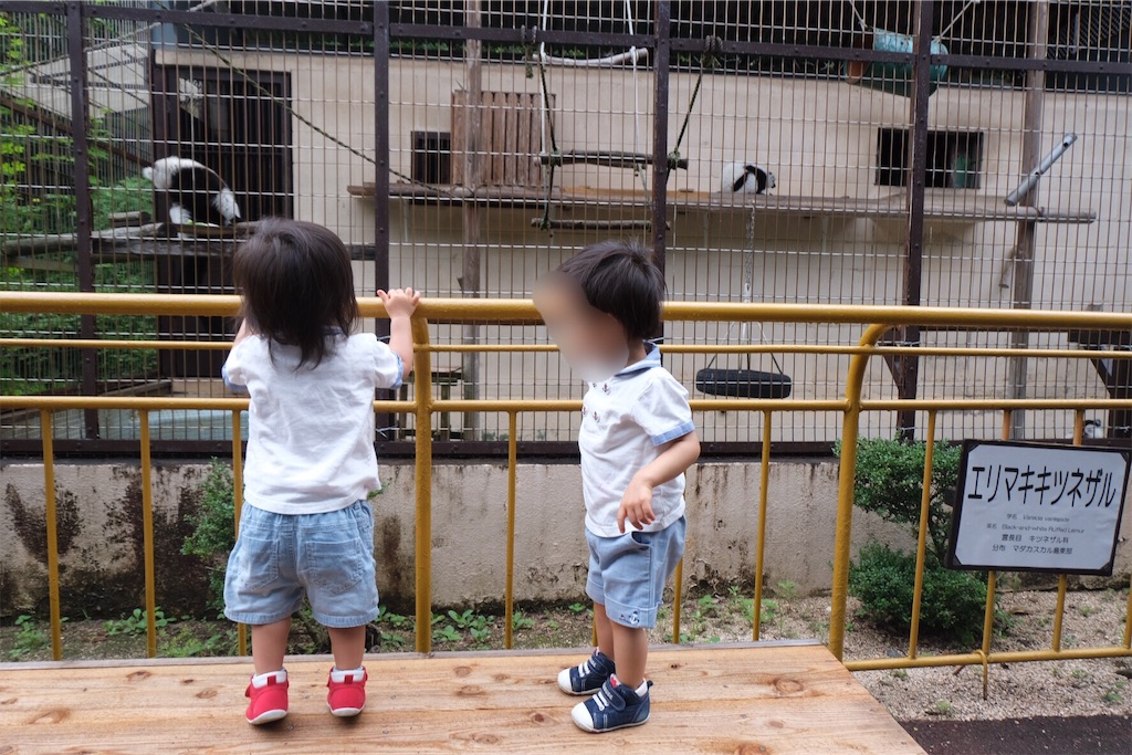 f:id:alice123alice:20190726045845j:image
