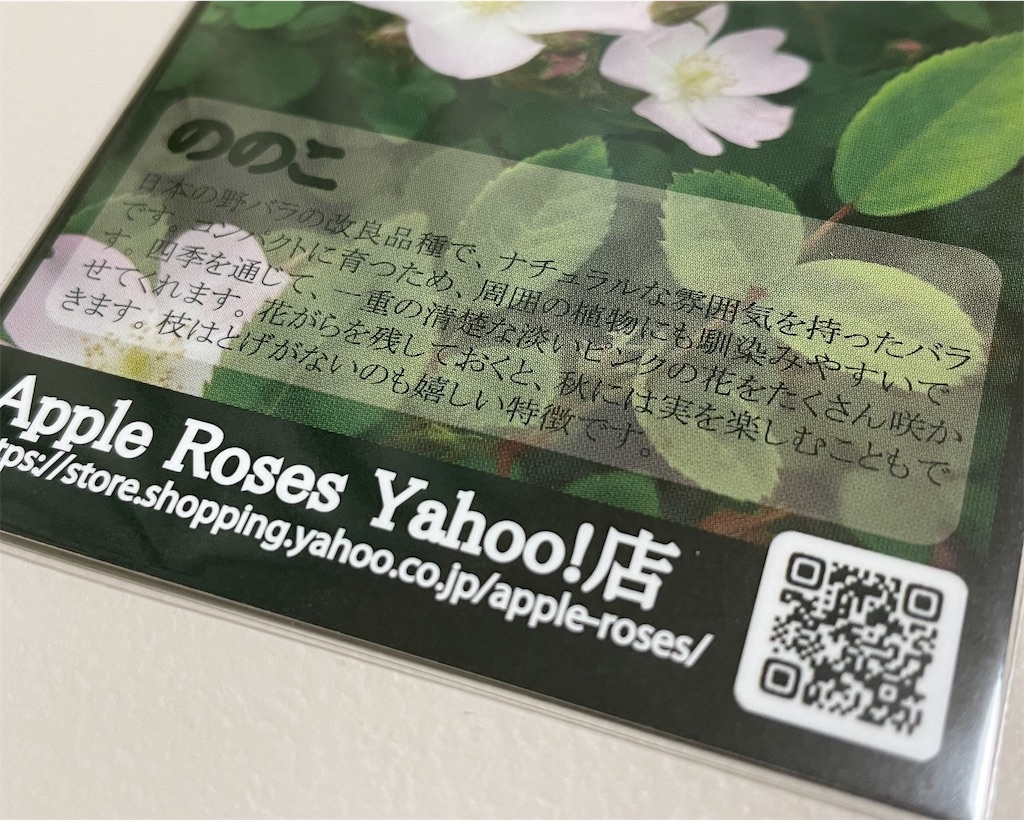 f:id:alice85:20230521140900j:image