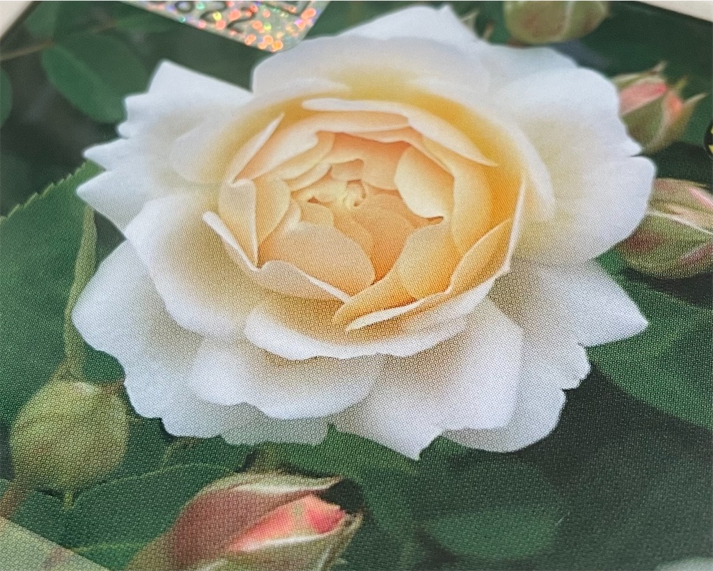 f:id:alice85:20230521140930j:image