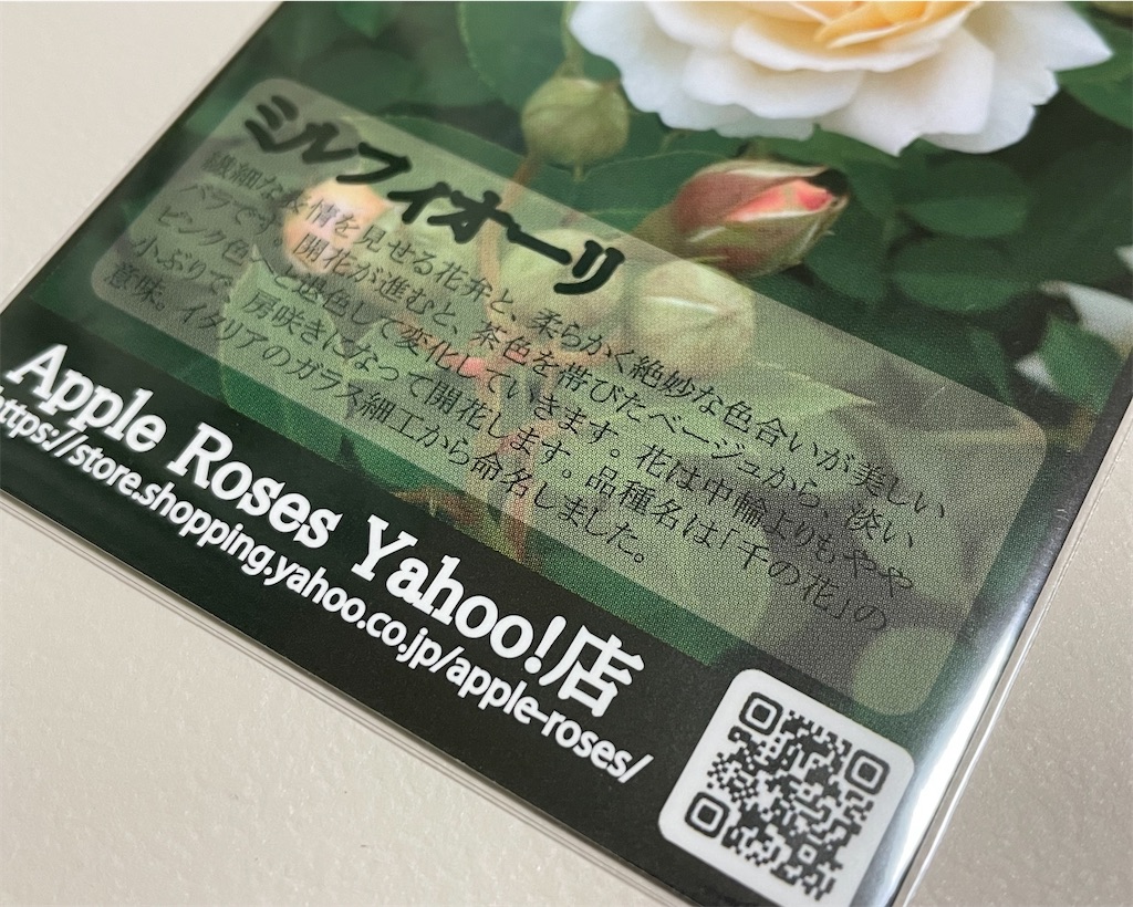 f:id:alice85:20230521140933j:image