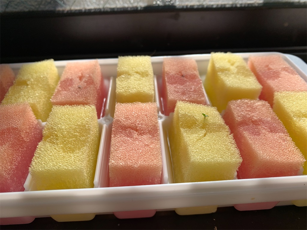 f:id:alichen:20210116145459j:image