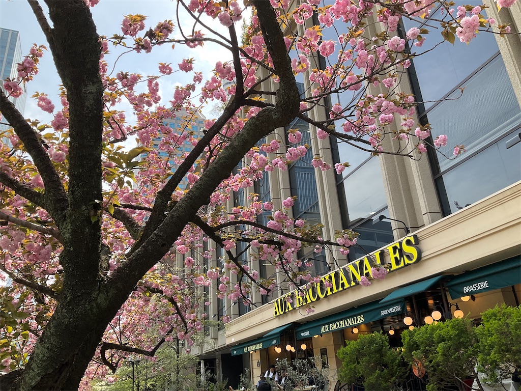 f:id:alichen:20250411182834j:image