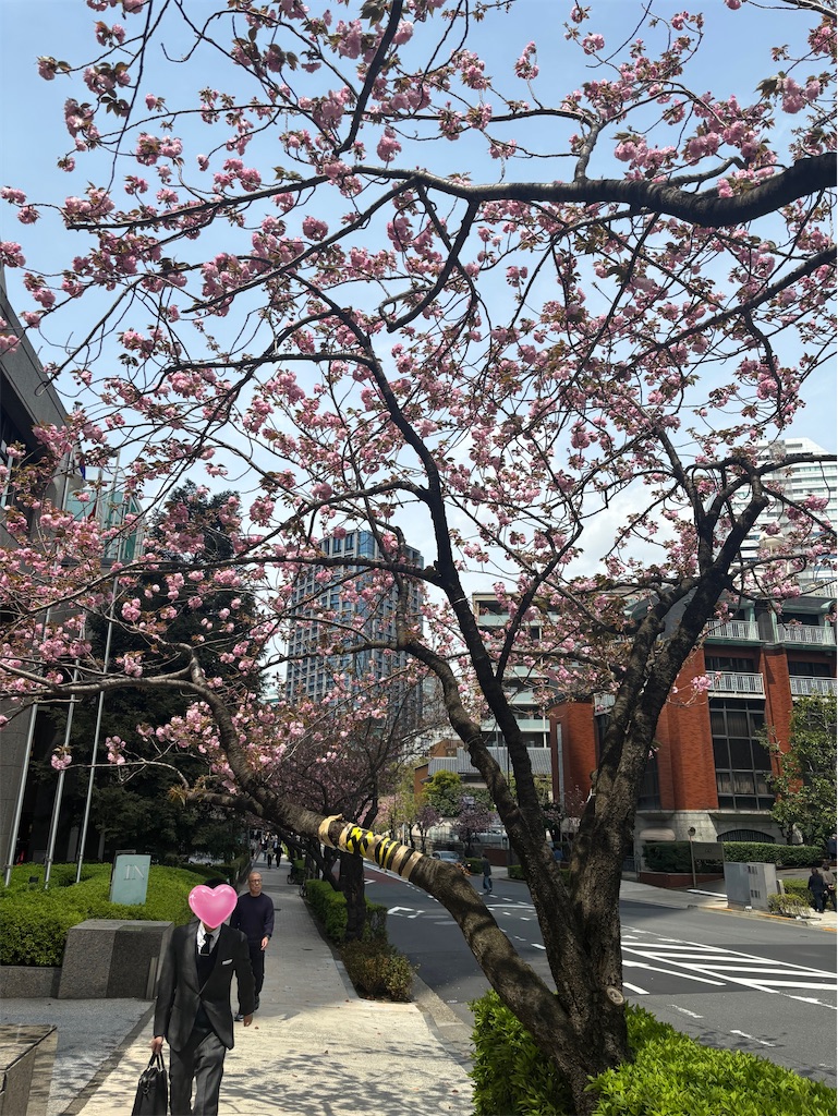 f:id:alichen:20250411182918j:image