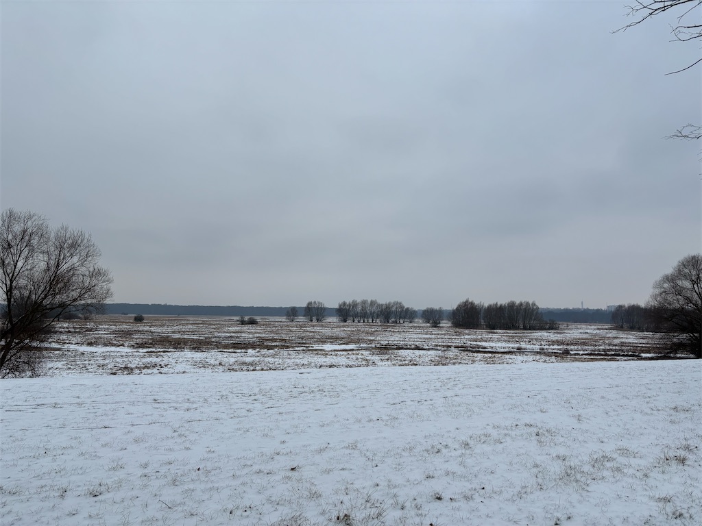 f:id:alichen:20260310124913j:image
