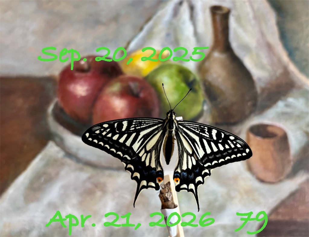 f:id:alichen:20260501094017j:image