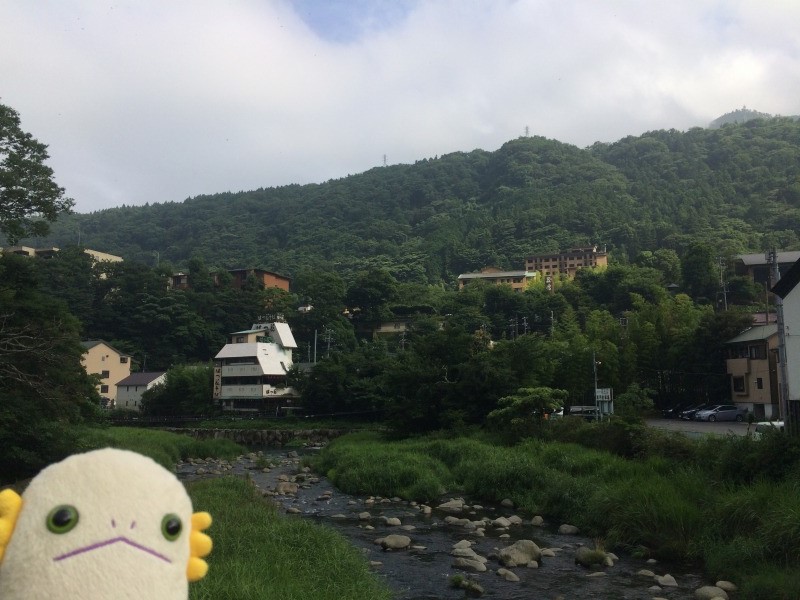 f:id:alientravel:20170123193243j:plain f:id:alientravel:20170123193243j:plain