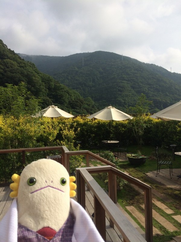 f:id:alientravel:20170123194135j:plain f:id:alientravel:20170123194135j:plain