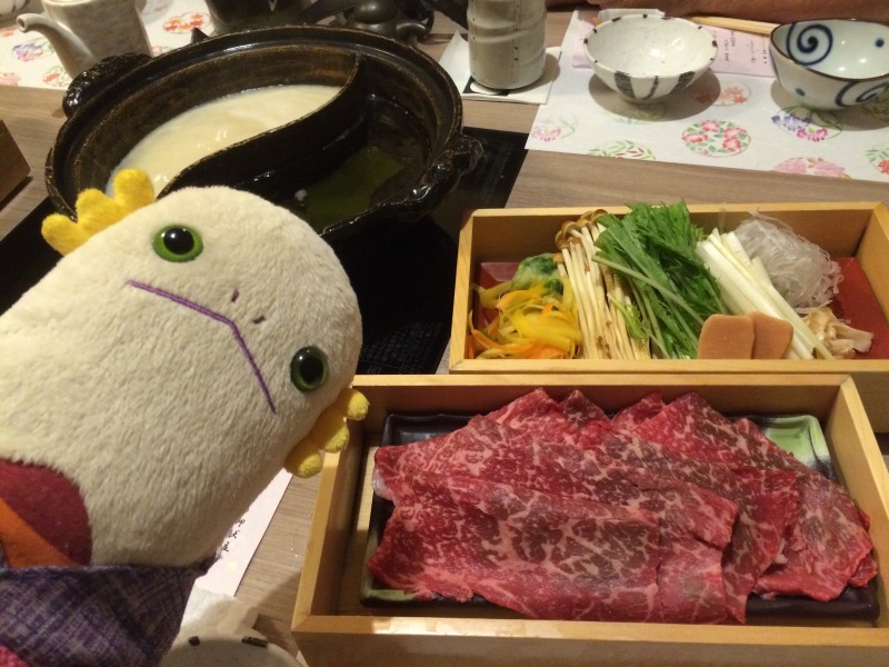 f:id:alientravel:20170123195145j:plain f:id:alientravel:20170123195145j:plain
