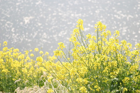 f:id:align_centre:20080406144401j:image:w320