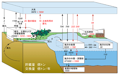 木を切って大気中の二酸化炭素を減らす White Croquis