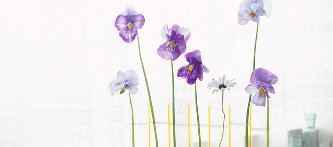 f:id:align_centre:20131222180034j:plain f:id:align_centre:20131222180034j:plain