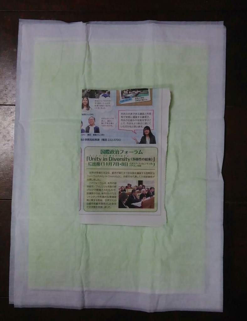 犬のおしっこがトイレシートからはみ出す問題を解決した エルの楽園