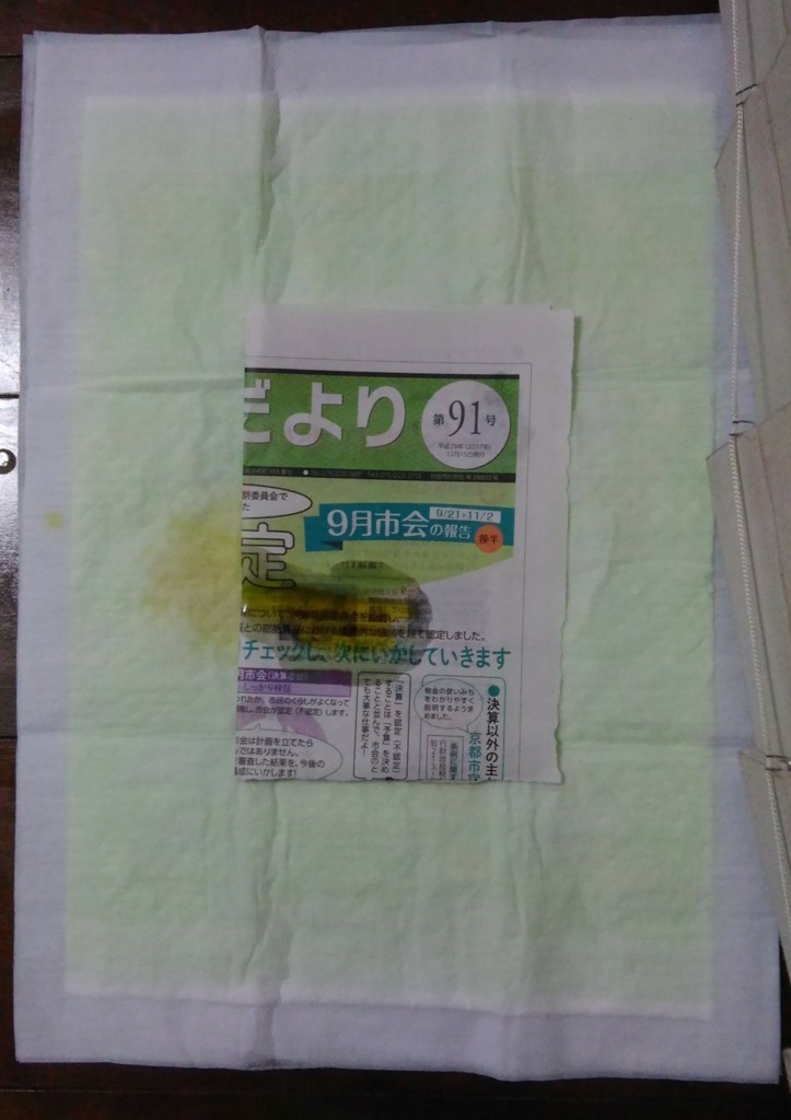 犬のおしっこがトイレシートからはみ出す問題を解決した エルの楽園