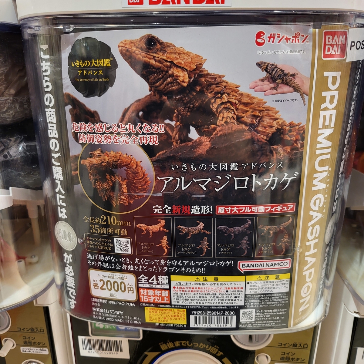 カプセルトイ 生き物大図鑑アドバンス アルマジロトカゲ 愛でる