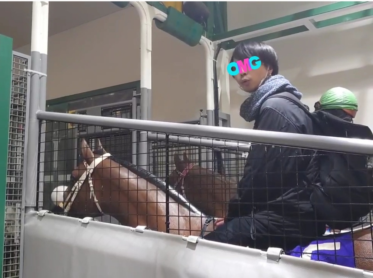 走ってる馬を見に行った話 - 閑話休題