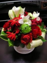 f:id:alinko:20081224205702j:image