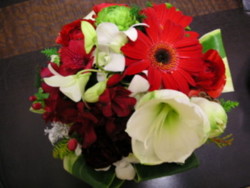 f:id:alinko:20081224205740j:image
