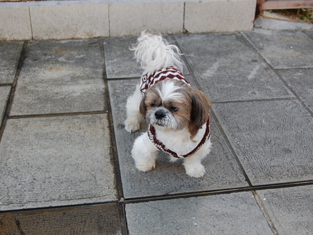 f:id:alittleact:20071103121801j:image